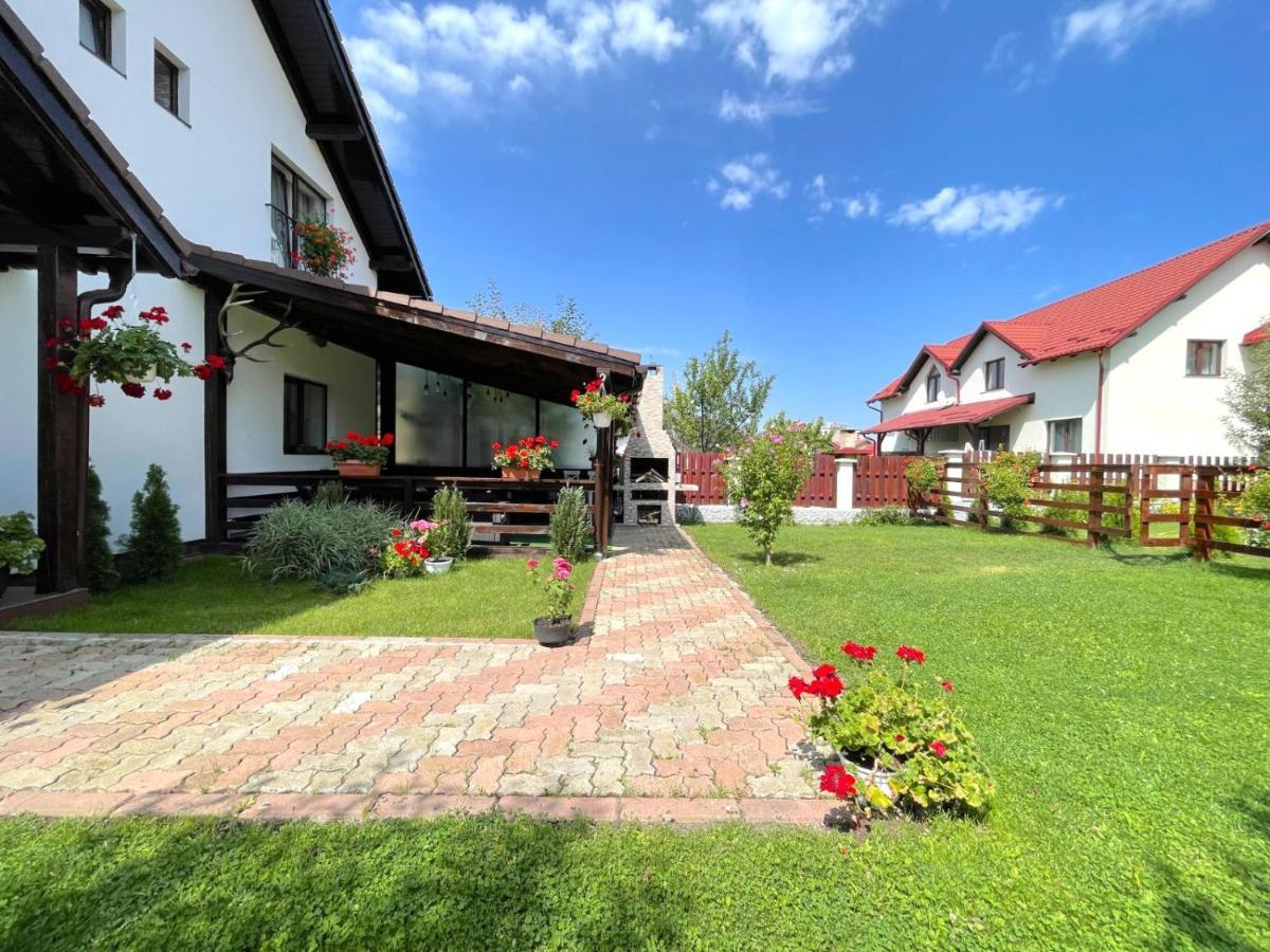 Vila Rolizo Braşov Dış mekan fotoğraf